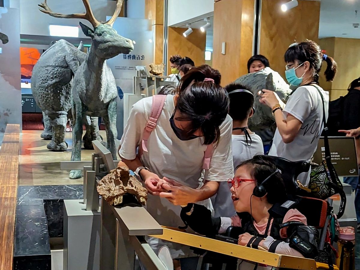 展廳導覽觸摸史前動物模型