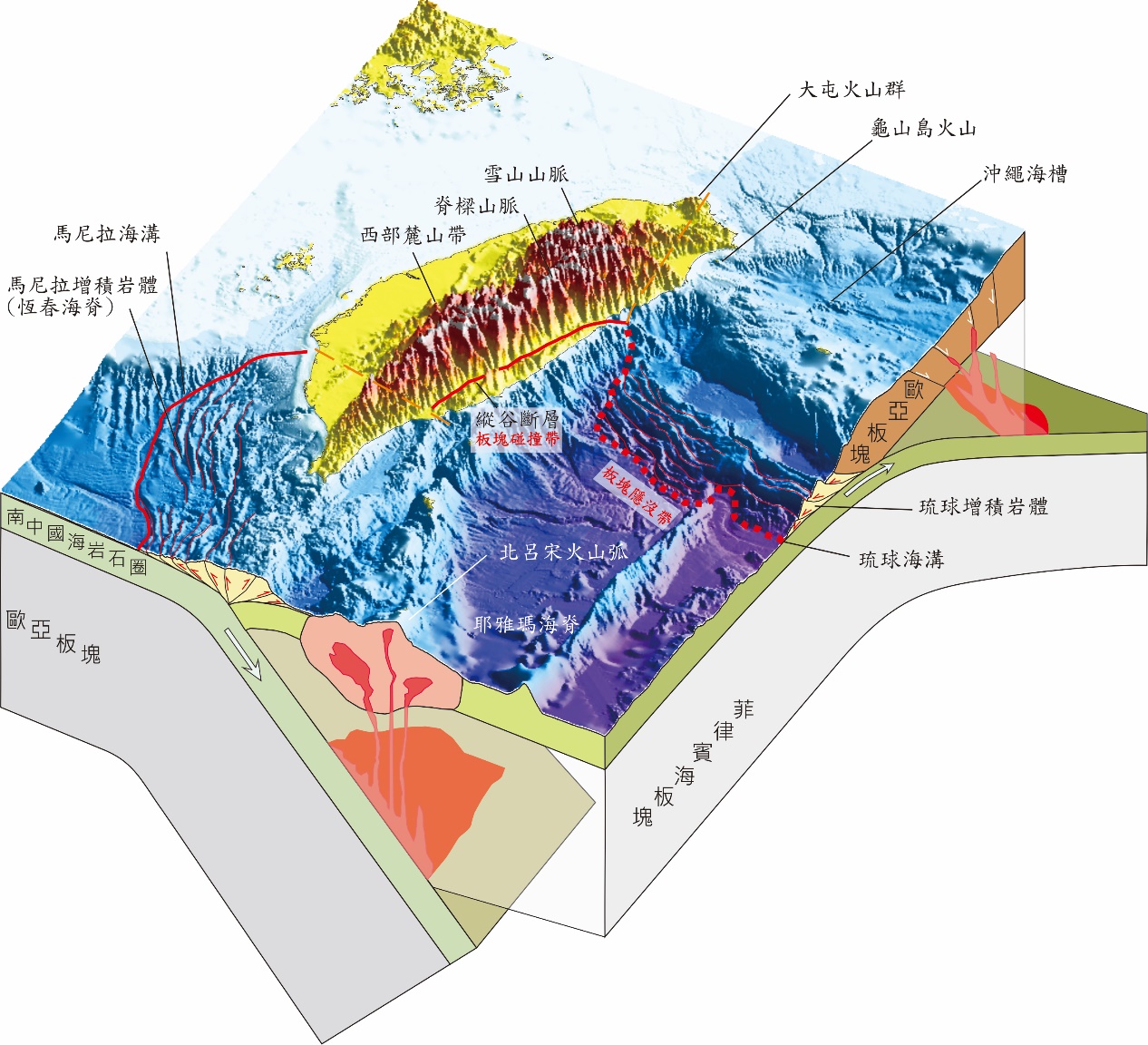臺灣位處歐亞與菲律賓海板塊的聚合邊界，南北各形成馬尼拉與琉球隱沒帶（海溝），之間為歐亞板塊與菲律賓海板塊碰撞的邊界─縱谷斷層