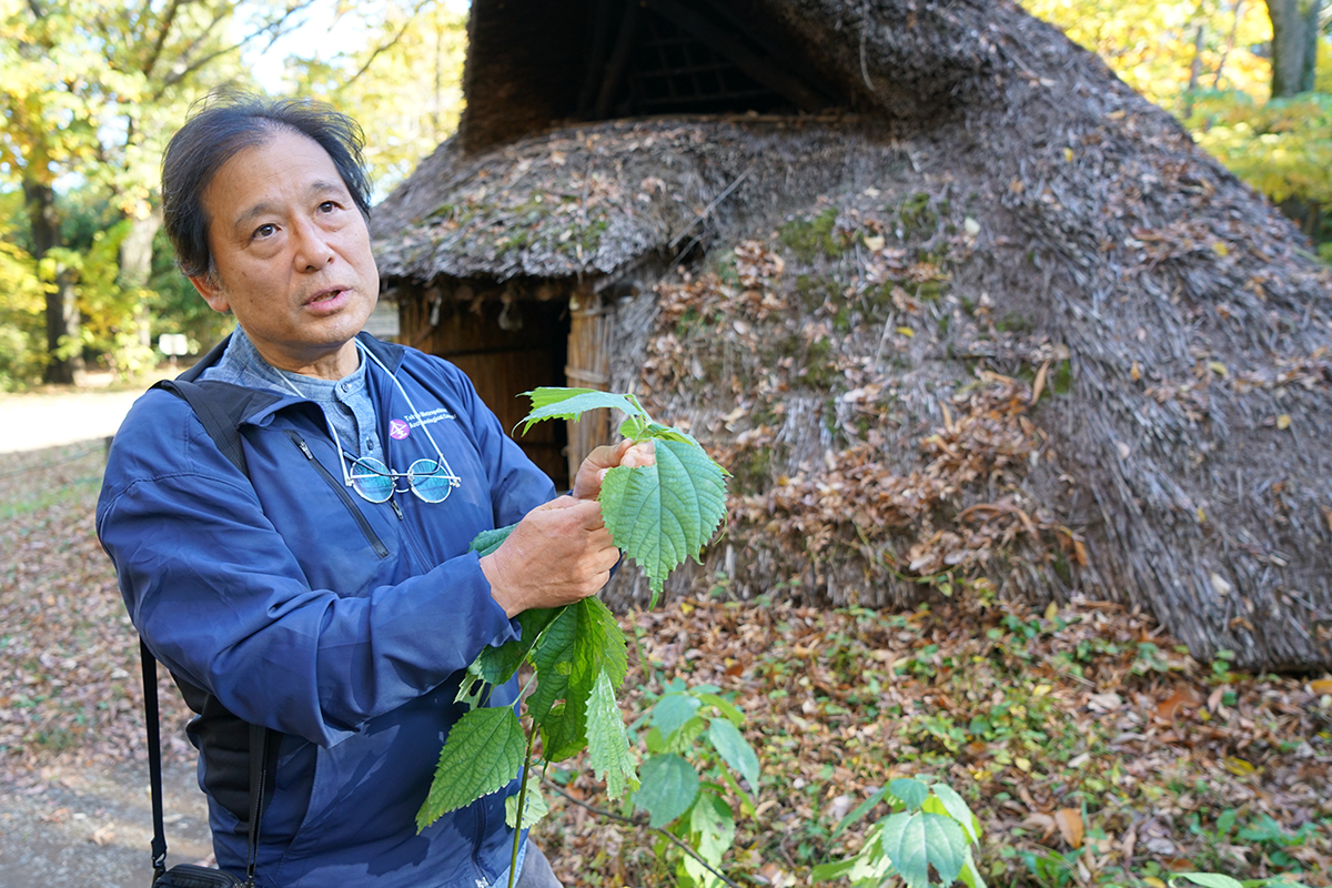 家屋周邊復植了各種存在於史前時代的植物，亦成為解說材料。