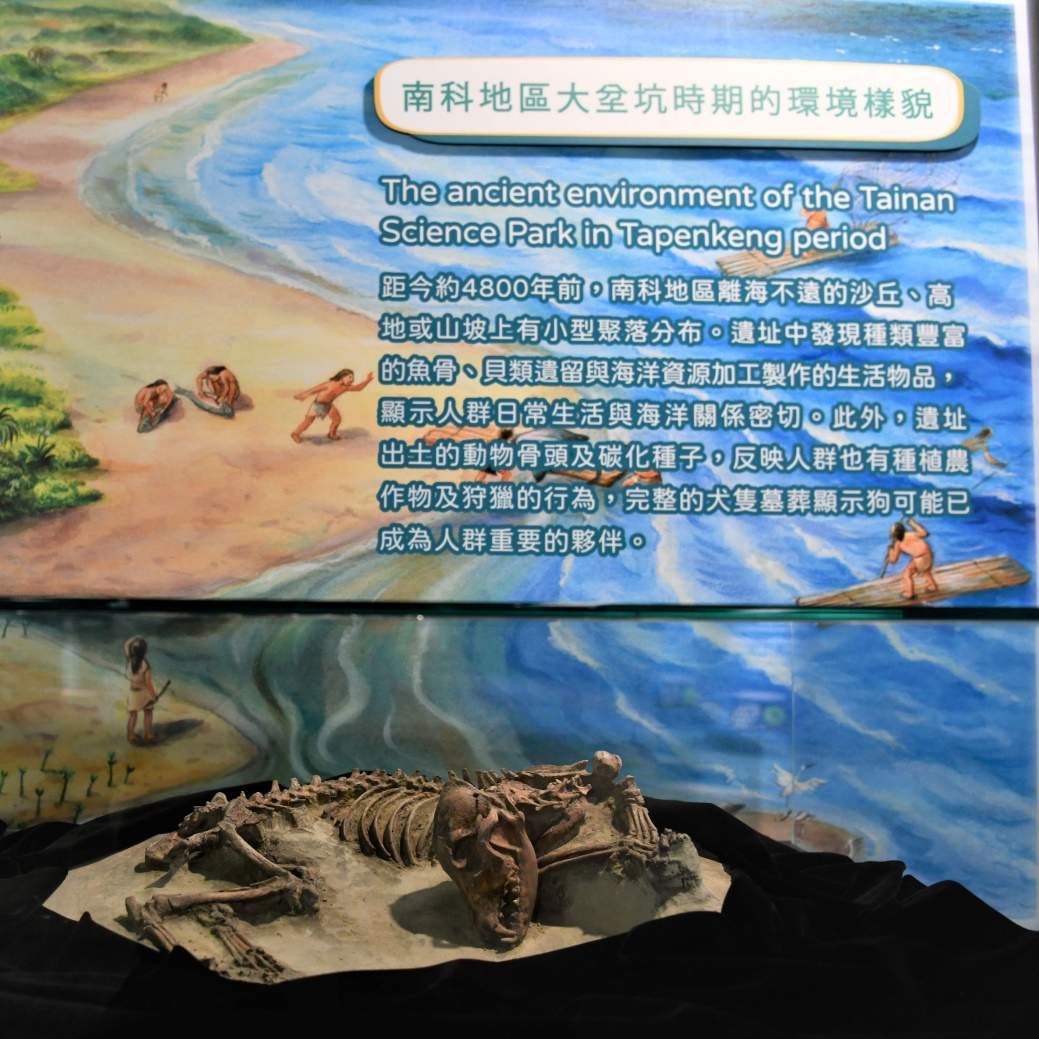 「臺灣第一狗」本尊駐守展廳,等你來相見。