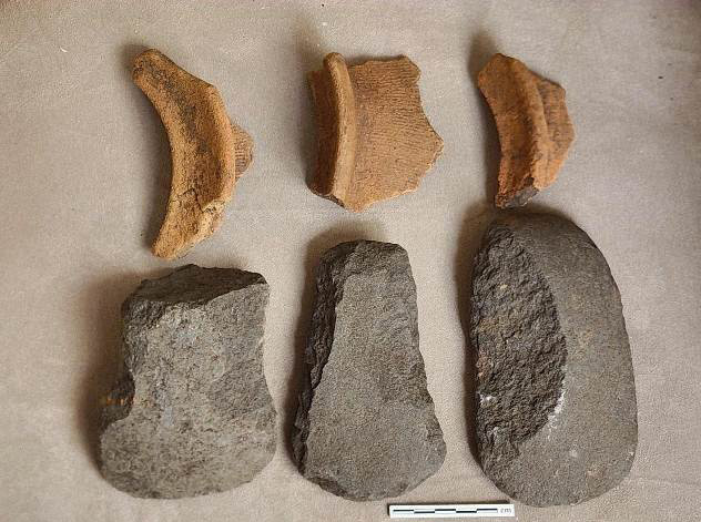 斷面採集之繩紋陶片及打製石斧。