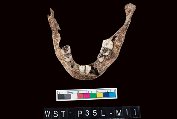 WST-P35L-M11 4-8歲(陳慧美攝影)。