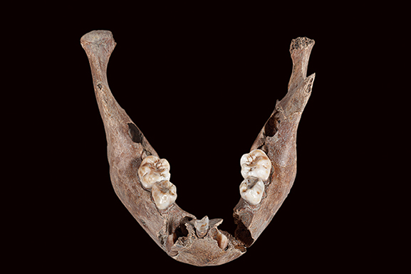 WST-P37R-M2 2-4歲(陳慧美攝影)。