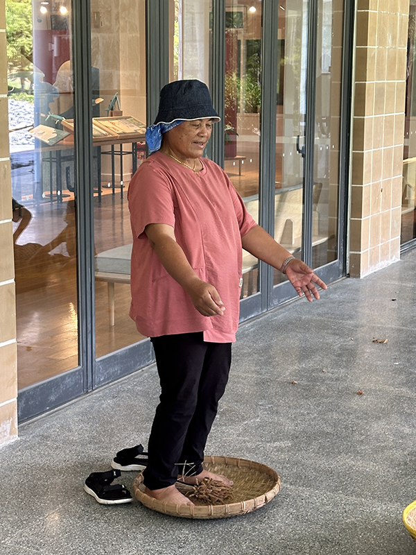 以往在部落是靠雙腳踩踏，將已曬乾的小米束脫粒。