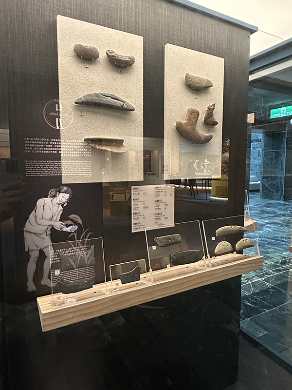 史前館在臺灣史前史廳「新石器時代早期」的單元中，展示石鋤、石斧、石刀等農業器具。