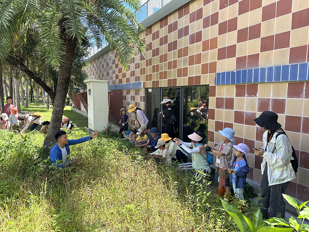 工作坊引導孩子們走進田裡認識小米，也透過體感學習採收。