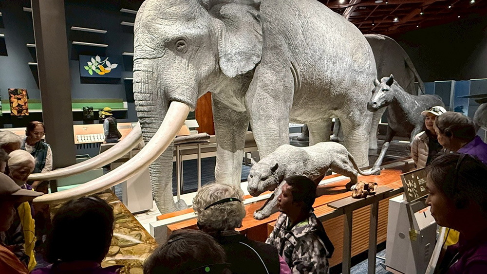 身障者的互動式解說引導出曾培育國寶魚的民眾深度解說七家灣復育環境。