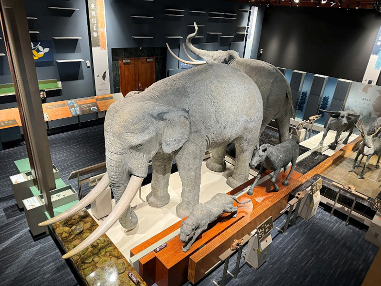 史前館冰期展示室中，大型史前動物的模型極具吸引力。