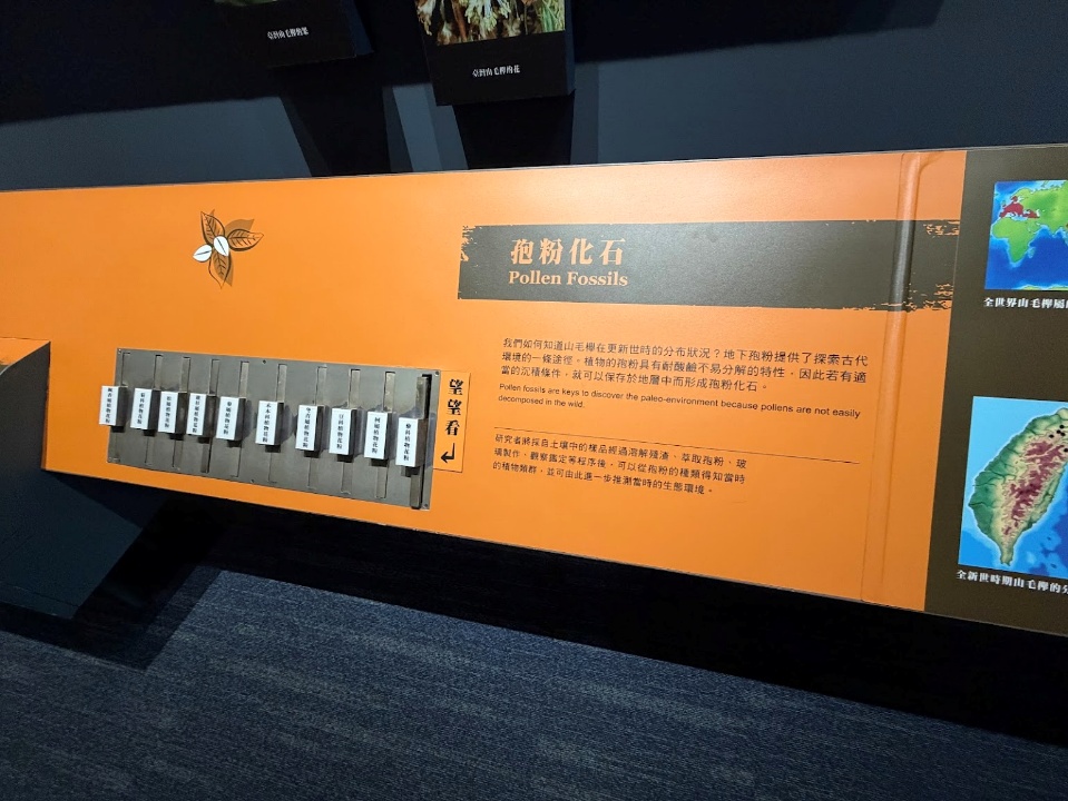 微幅更新前的「孢粉化石」展示單元為抽拉式玻璃影像。
