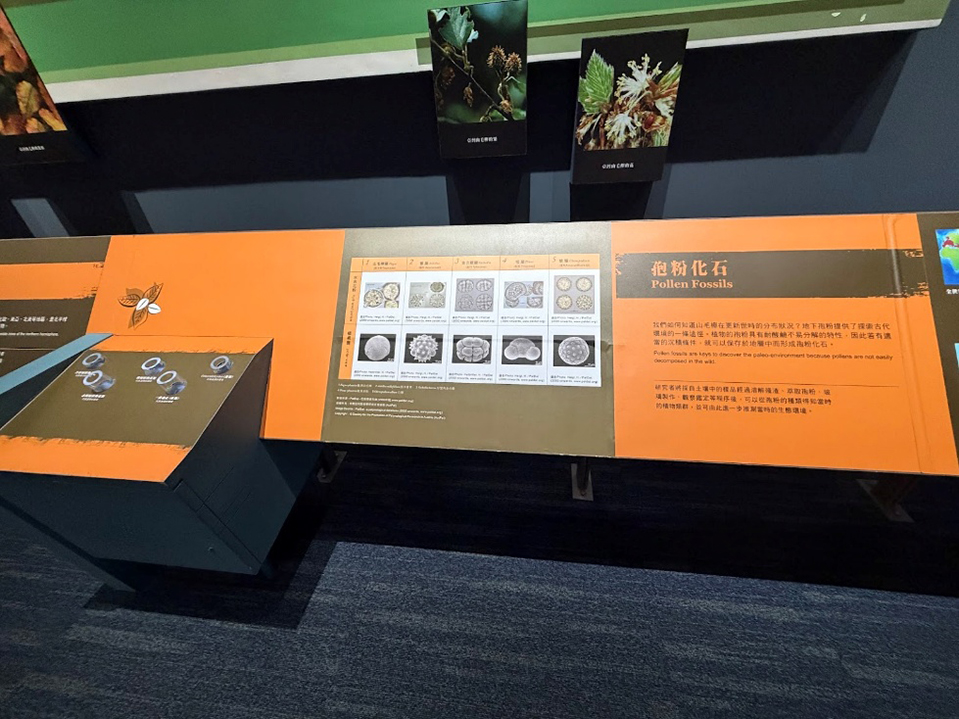 微幅更新後的展示單元導入掃描式電子顯微鏡（SEM）3D立體影像。