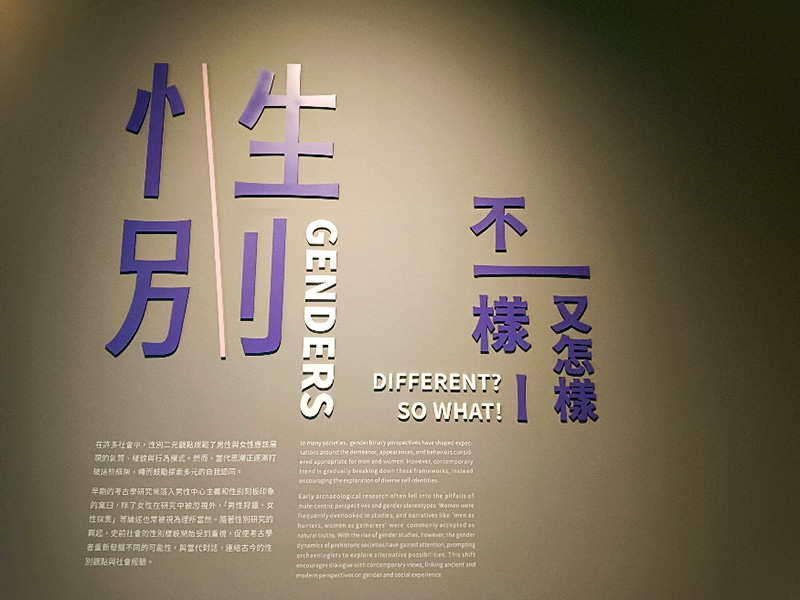 新設展示廳「當代考古廳」，「性別」主題區。