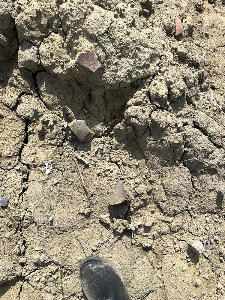 前往南科三期做地表採集，遼闊的工地土丘上滿滿都是陶片。