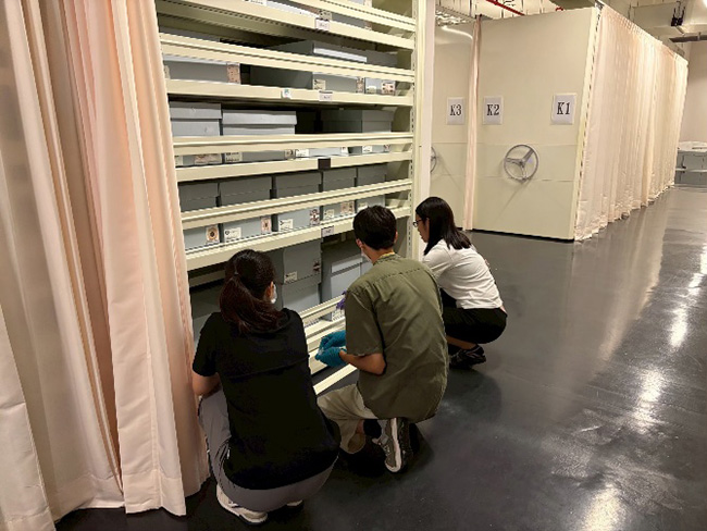 定期檢查展間與庫房是博物館基本功。