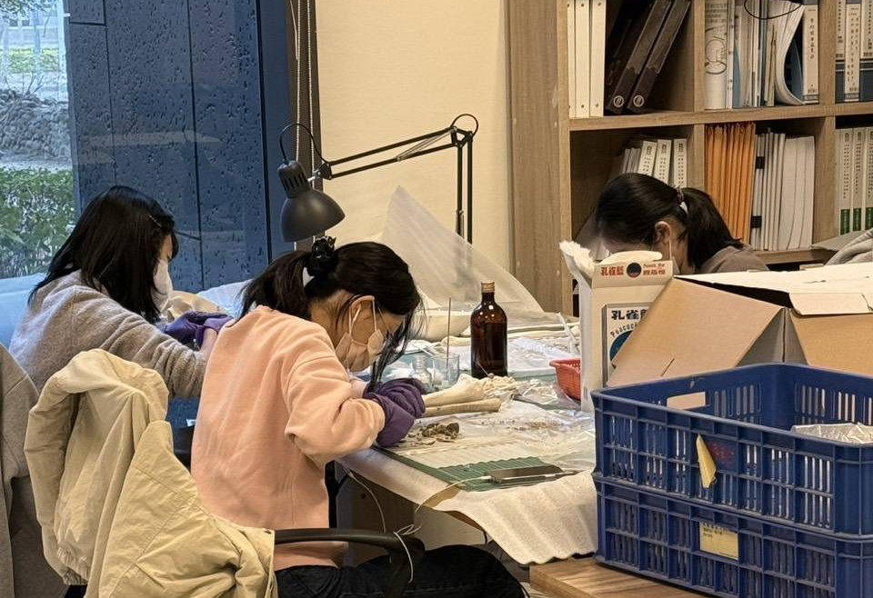 人骨清整、修復工作照。