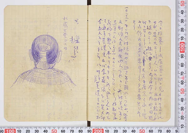 在手掌般大小的田野筆記中，鳥居龍藏經常以圖文對照的方式書寫（日本德島縣立鳥居龍藏紀念博物館提供）。 