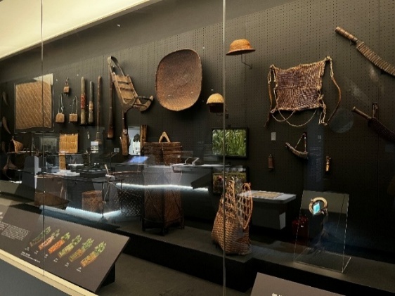 南島廳展示櫃內部照度50-100Lux。