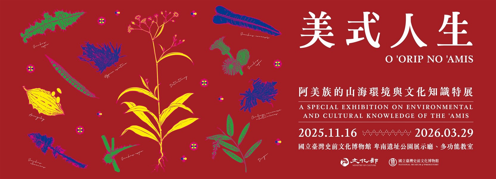  美式人生：阿美族的傳統山海環境與文化知識