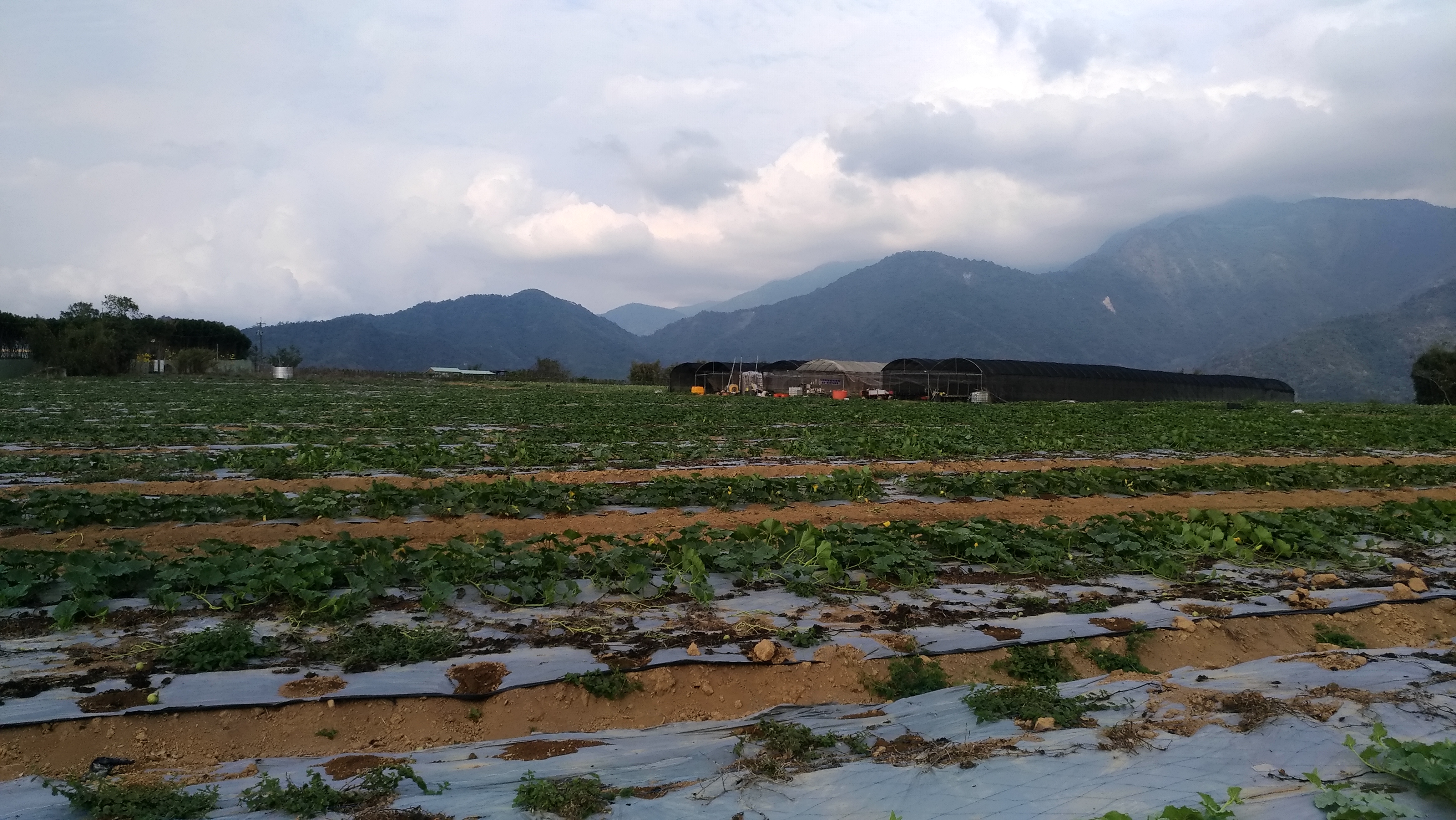 水蛙窟考古遺址