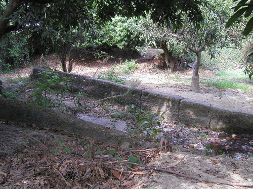 麻豆水堀頭遺址