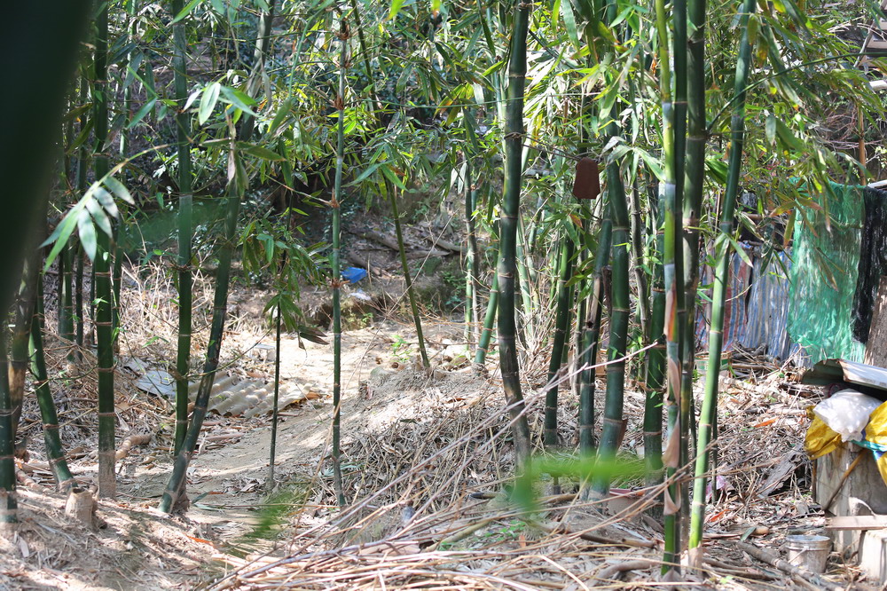 土地公山考古遺址