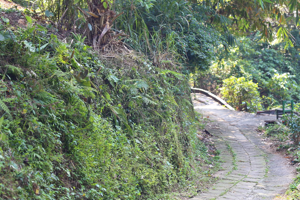 狗蹄山考古遺址