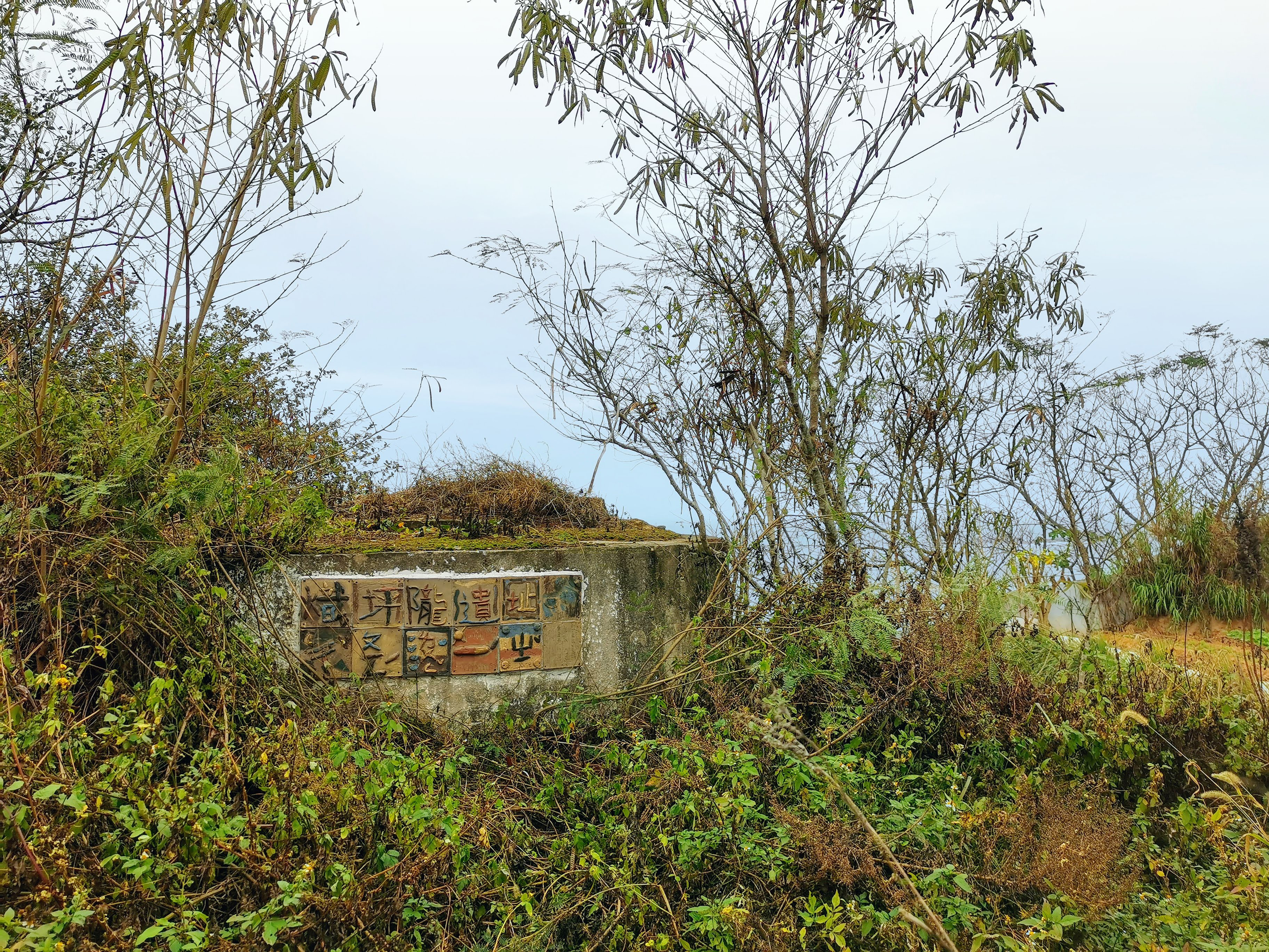 熾坪隴遺址